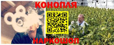 крисы Рязань