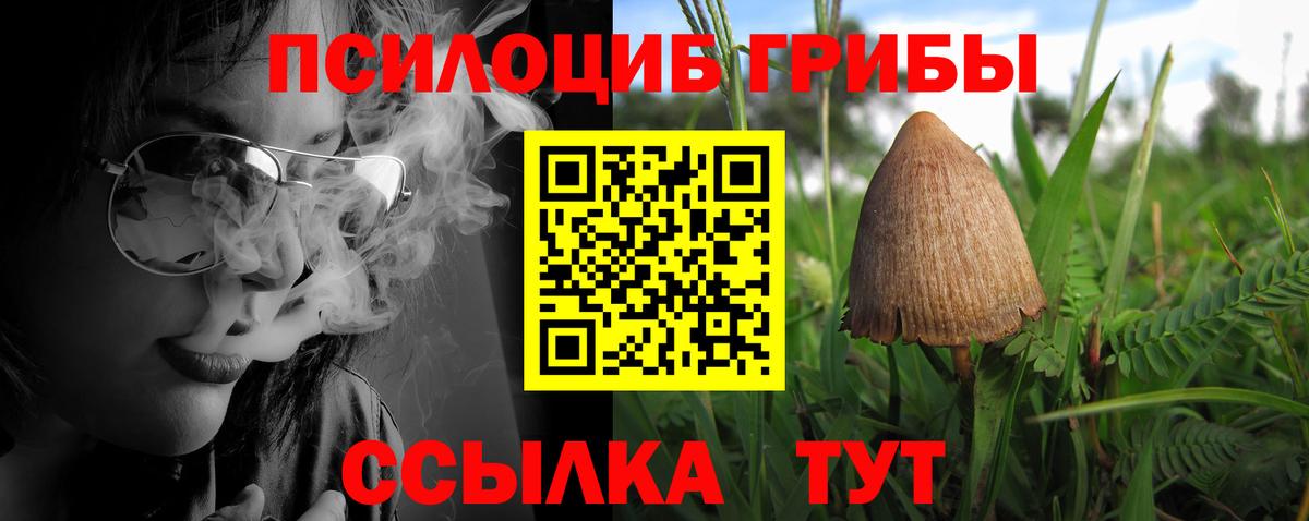 Псилоцибиновые грибы GOLDEN TEACHER Сальск